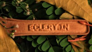 Prénoms inspirés par les tendances environnementales de 2026