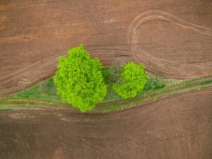 Prénoms 2026 inspirés par les personnalités de l’économie circulaire