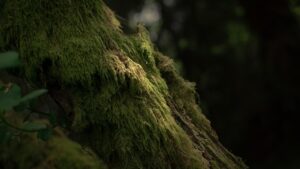 Prénoms 2026 : L’influence du mouvement zéro déchet