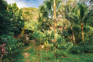 Prénoms 2026 : L’influence des nouvelles tendances en permaculture