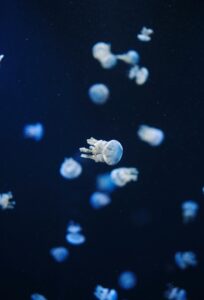 Prénoms inspirés par l’architecture moderne pour 2026