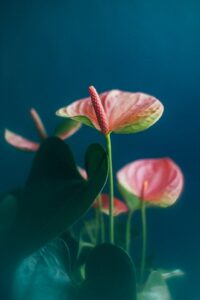 Prénoms inspirés par l’intelligence émotionnelle pour 2026