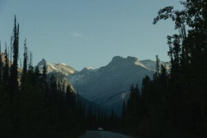 Prénoms inspirés des métiers d’avenir pour 2026