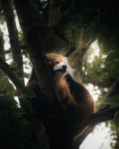 Prénoms numériques : quand les chiffres inspirent les prénoms 2026