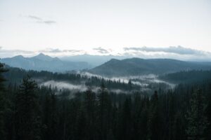 Prénoms inspirés par l&rsquo;intelligence émotionnelle en 2026