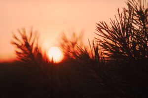 Prénoms aux sonorités apaisantes : choisir la douceur pour 2026