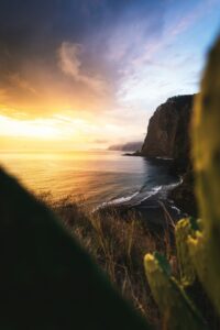 Prénoms de 2025 : comment la psychogénéalogie influence vos choix