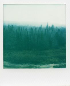 Prénoms inspirés par la psychologie positive pour 2025