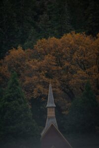 Prénoms inspirés de la psychologie positive pour 2026