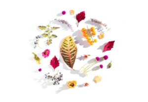 Prénoms inspirés de la méditation et du mindfulness en 2025