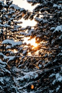 Prénoms cosmopolites : l&rsquo;art de choisir un prénom sans frontières