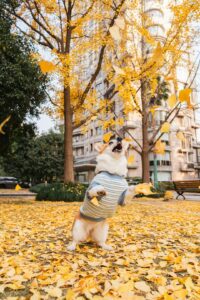 Prénoms inspirés de la méditation et du mindfulness pour 2025