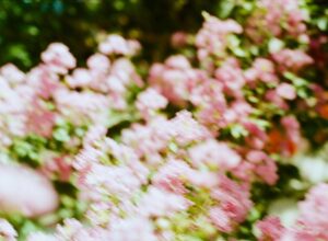 Prénoms inspirés de la méditation et pleine conscience 2026