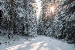 Prénoms inspirés par les métiers d&rsquo;avenir pour 2025-2026