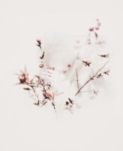 Prénoms de 2026 : l&rsquo;influence de la psychogénéalogie