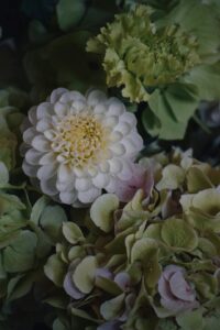 Prénoms inspirés de la sagesse ancestrale pour 2026