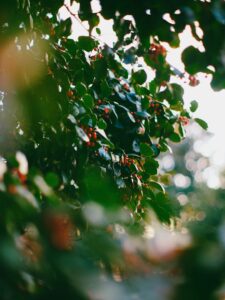 Prénoms inspirés de la mythologie nordique : force et mystère