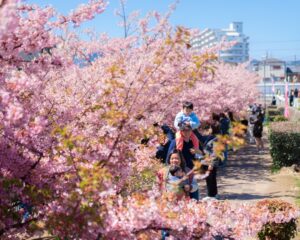 Prénoms japonais fille : sens et beauté